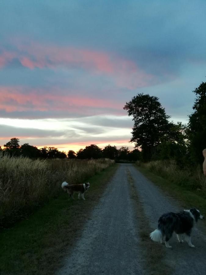 Chez Pastuso Bed & Breakfast Brigueil-le-Chantre Bagian luar foto